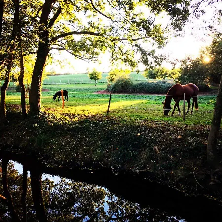 Le Nichoir Guest house